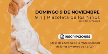 TEODELINA: Castraciones masivas para perros y gatos TEODELINA: Castraciones masivas para perros y gatos