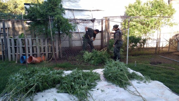 LA PRIMERA CONDENA DEL SISTEMA ACUSATORIO FEDERAL EN JUICIO ORAL FUE LOGRADA POR LA FISCALÍA DE VENADO TUERTO