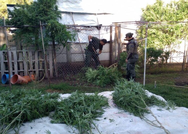 LA PRIMERA CONDENA DEL SISTEMA ACUSATORIO FEDERAL EN JUICIO ORAL FUE LOGRADA POR LA FISCALÍA DE VENADO TUERTO