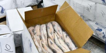 Para evitar el colapso ecológico, Provincia suspenderá por un año el acopio de pescado para exportación Para evitar el colapso ecológico, Provincia suspenderá por un año el acopio de pescado para exportación