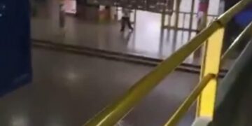 Tragedia en Santa Fe: un alumno dispara en escuela y deja un muerto Tragedia en Santa Fe: un alumno dispara en escuela y deja un muerto