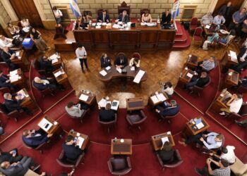 DI GREGORIO VALORÓ LA MEDIA SANCIÓN DE LA NUEVA LEY QUE REGULARÁ A LOS MUNICIPIOS DE SANTA FE