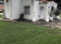 Archivo histórico: Teodolina o Teodelina?