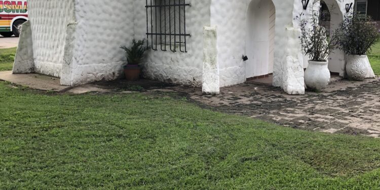 Archivo histórico: Teodolina o Teodelina?