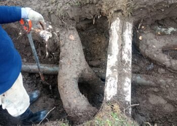 Teodelina: comunicado rotura de caño Agua Potable