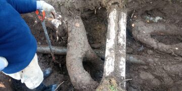 Teodelina: comunicado rotura de caño Agua Potable