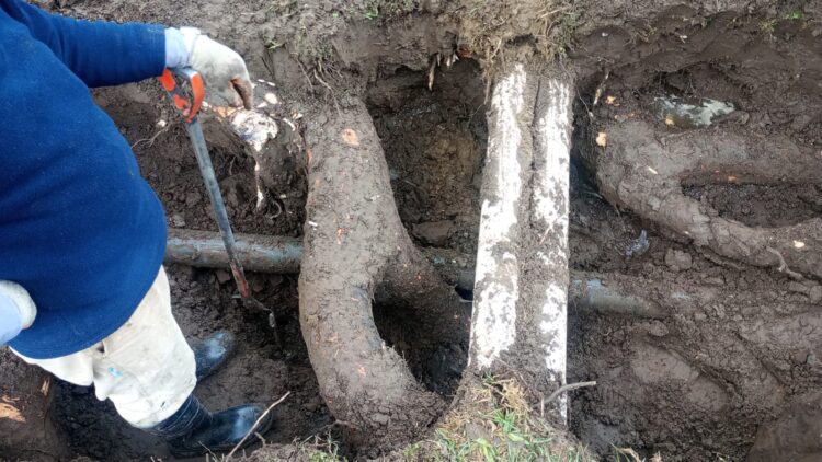 Teodelina: comunicado rotura de caño Agua Potable